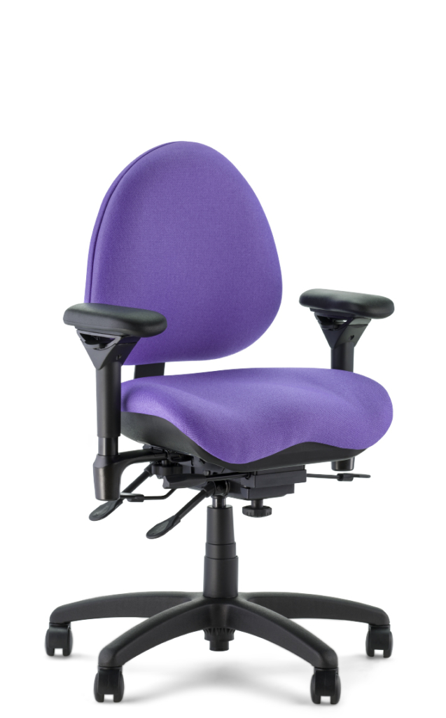 Ergonomic Store - BodyBilt