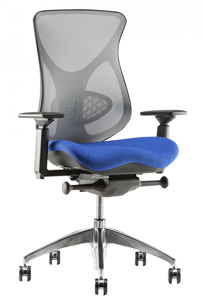 Ergonomic Store - BodyBilt