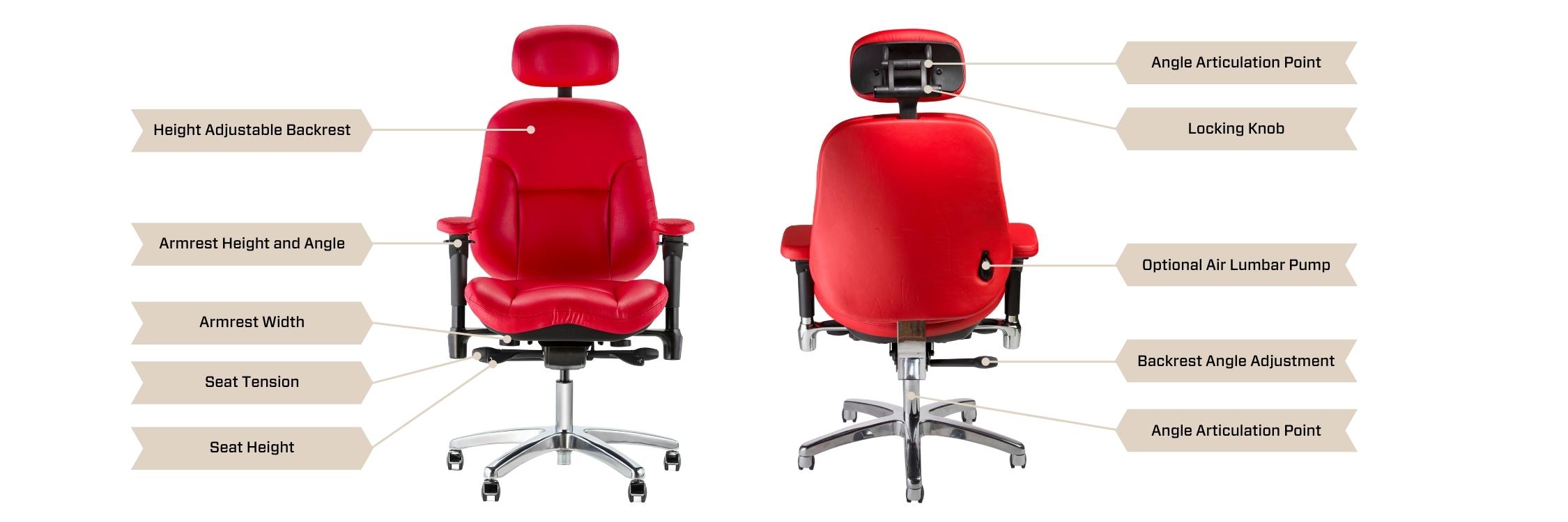 exec chair showing 12 posture controlints posture o