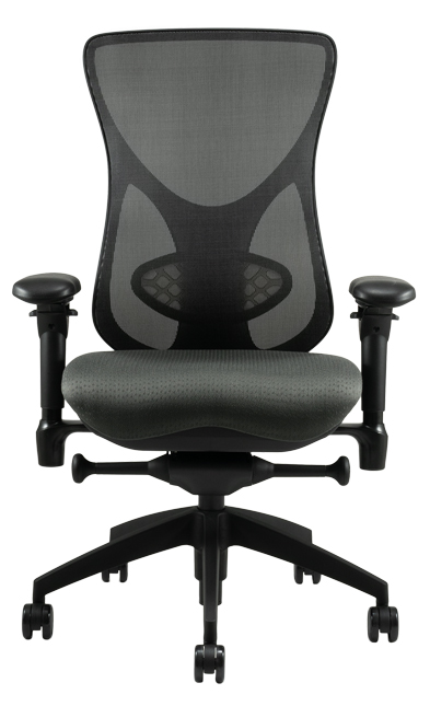 Ergonomic Chair - Custom Ergonomic Chair to Fit Your Individual Needs