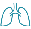 lung-icon